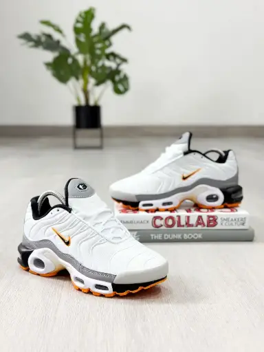 Nike TN caballero ref 1-3300